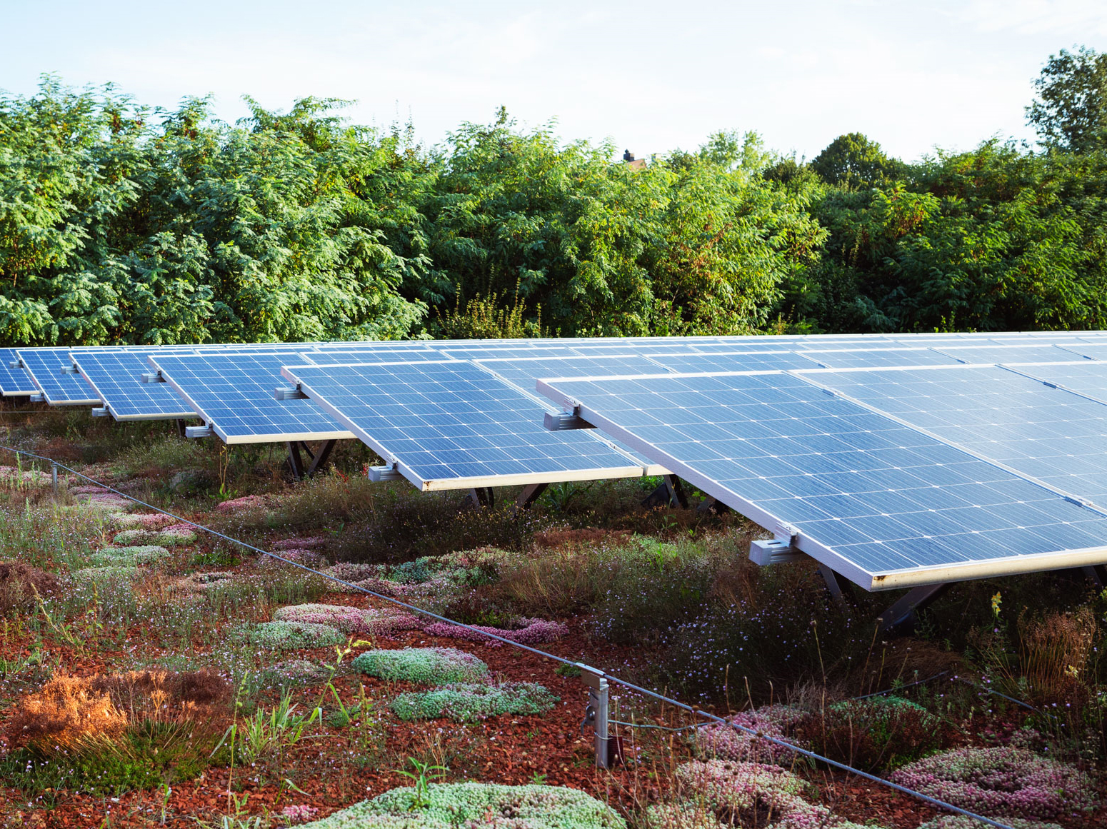 Aare Dach Solar / Photovoltaik