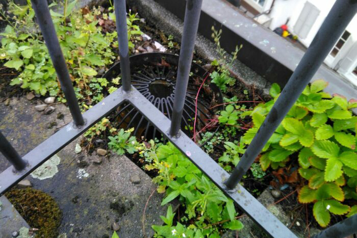 Service Balkon Aare Dach